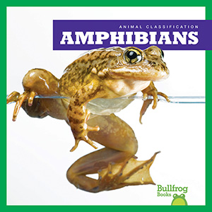 Series - Animal Classification (Bullfrog Books)